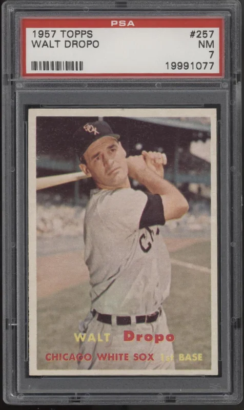 collectorstore241171