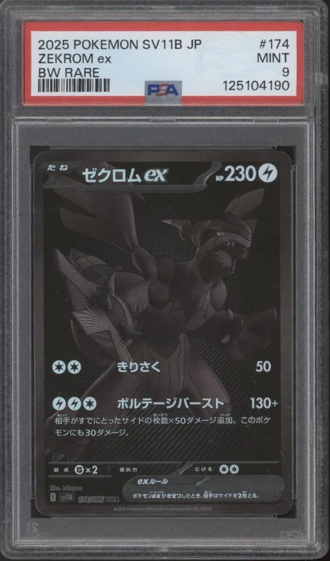 collectorstore254110