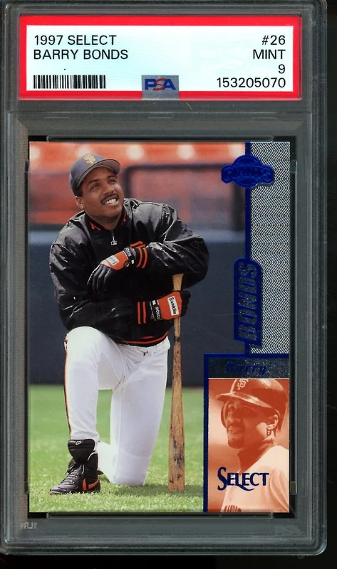 tradingcardmarket2952983